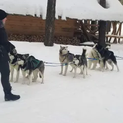 Pervouralsk City Park - Pervouralsk
