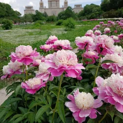 Podolsk Botanical Garden - Podolsk