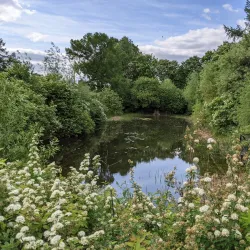 Podolsk Botanical Garden - Podolsk