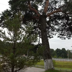 Victory Park - Podolsk