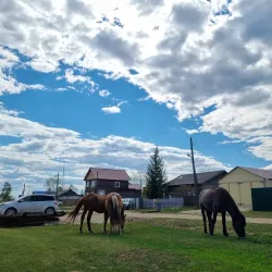 Old Town District - Pokrovsk