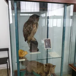 Polevskoy Historical and Cultural Museum - Polevskoy