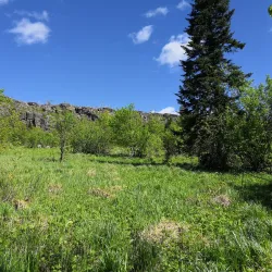 Ural Nature Reserve (nearby) - Polevskoy