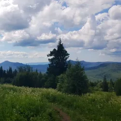 Ural Nature Reserve (nearby) - Polevskoy