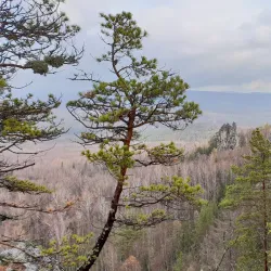 Ural Nature Reserve (nearby) - Polevskoy