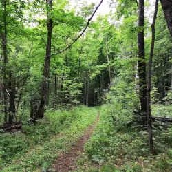 Ural Nature Reserve (nearby) - Polevskoy