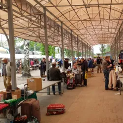 Local Markets and Craft Shops - Poronaysk