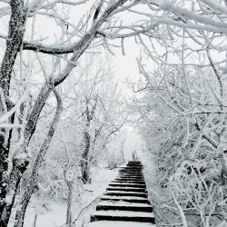 Mount Mashuk - Pyatigorsk