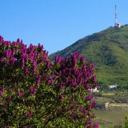 Mount Mashuk - Pyatigorsk