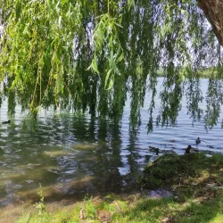 Victory Park - Pyatigorsk