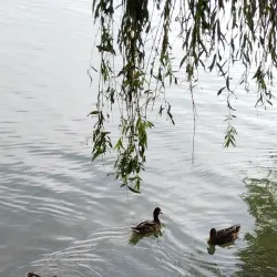 Victory Park - Pyatigorsk