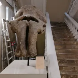 Rostov Regional Museum of Local Lore - Rostov-on-Don (Rostov-na-donu)