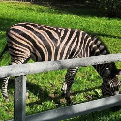 Rostov Zoo - Rostov-on-Don (Rostov-na-donu)