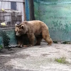 Rostov Zoo - Rostov-on-Don (Rostov-na-donu)