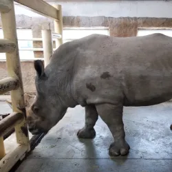 Rostov Zoo - Rostov-on-Don (Rostov-na-donu)