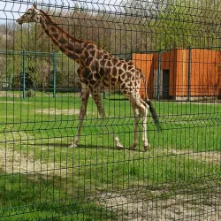 Rostov Zoo - Rostov-on-Don (Rostov-na-donu)
