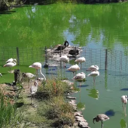 Rostov Zoo - Rostov-on-Don (Rostov-na-donu)