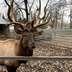Rostov Zoo - Rostov-on-Don (Rostov-na-donu)