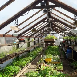 City Botanical Garden - Rubtsovsk