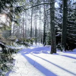 City Botanical Garden - Rubtsovsk