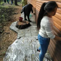 City Botanical Garden - Rubtsovsk