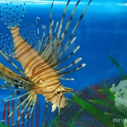 Rubtsovsk Art Gallery - Rubtsovsk