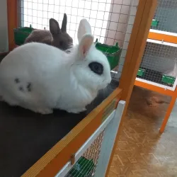 Rubtsovsk Local History Museum - Rubtsovsk