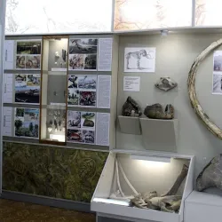 Rubtsovsk Local History Museum - Rubtsovsk