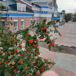 Rubtsovsk Railway Station - Rubtsovsk