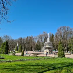 Peterhof Palace and Gardens - Saint Petersburg