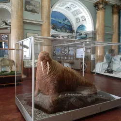 Museum of the History of the Arctic and Antarctic - Salekhard