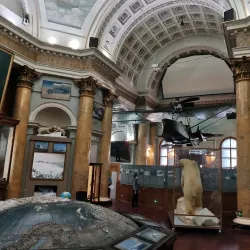 Museum of the History of the Arctic and Antarctic - Salekhard