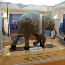 Salekhard Local History Museum - Salekhard