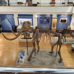 Salekhard Local History Museum - Salekhard