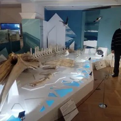 Salekhard Local History Museum - Salekhard