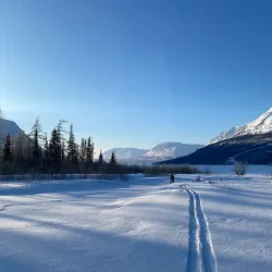 Tundra Hiking and Wildlife Watching - Salekhard