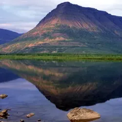 Tundra Hiking and Wildlife Watching - Salekhard
