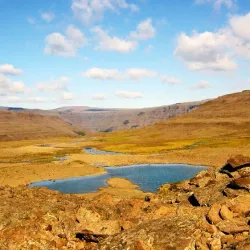 Tundra Hiking and Wildlife Watching - Salekhard