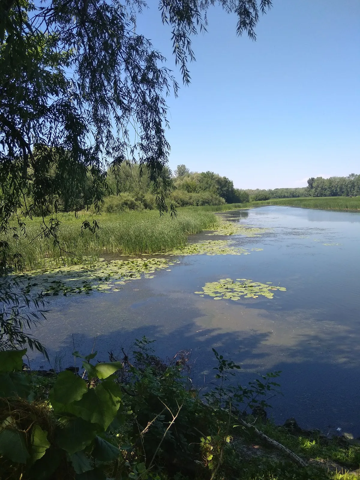 Samara