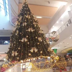 Kuibyshev Square - Samara