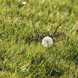 Samara Embankment - Samara