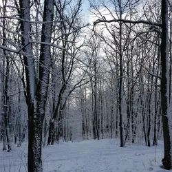 Central Park of Culture and Leisure - Saransk