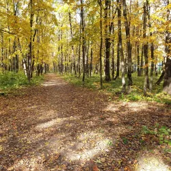 Central Park of Culture and Leisure - Saransk