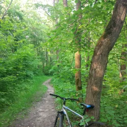 Central Park of Culture and Leisure - Saransk