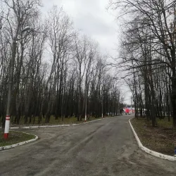 Central Park of Culture and Leisure - Saransk