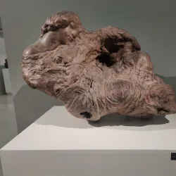 Mordovian Erzia Museum of Visual Arts - Saransk