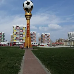 Saransk Central Stadium - Saransk