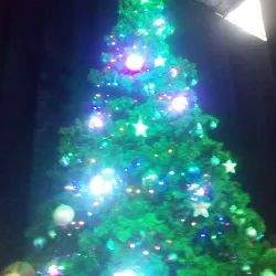 Saratov Puppet Theater - Saratov