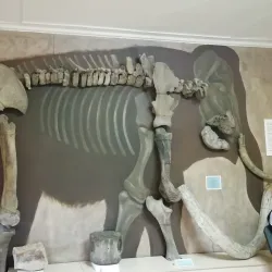 Saratov Regional Museum of Local Lore - Saratov