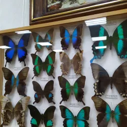 Saratov Regional Museum of Local Lore - Saratov